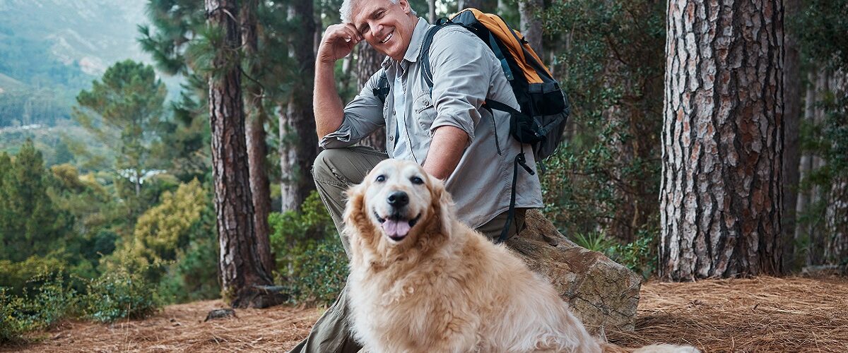 Man, hiking and happy dog outdoor in nature for exercise, fitness and trekking for health and wellness. Senior male and pet animal portrait on hike in forest for workout and cardio with backpack.